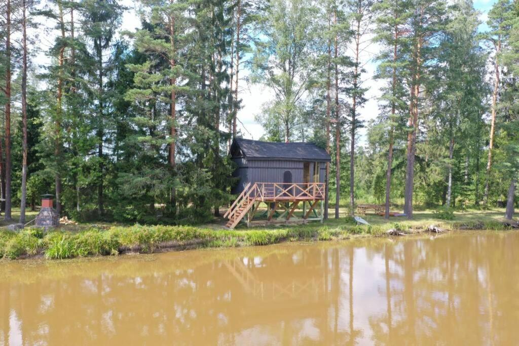 Dragon House In The Tree! Jacuzzi, Sauna ,Cinema,Heated Lici  Екстер'єр фото